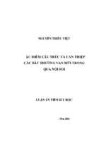 đặc điểm cấu trúc và can thiệp cán bât thường van mũi trong qua nội soi