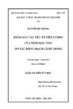 Khảo sát các yếu tố tiên lượng của nhồi máu não do tắc động mạch cảnh trong