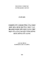Luận án tiến sĩ nghiên cứu ứng ảnh hưởng của chất điều hòa sinh trưởng thực vật brassinolide đến khả năng chịu mặn