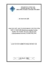 Luận văn tốt nghiệp khảo sát hiệu quả của pheromone giới tính tổng hợp và nấm xanh (metarhizium anisopliae sorokin)