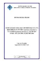 Luận văn tốt nghiệp đánh giá khả năng hạn chế bệnh hại lúa của dịch trích cỏ cứt heo (ageratum conyzoides l.) và cỏ hôi