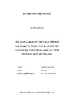 Giải pháp marketing thúc đẩy tiêu thụ sản phẩm của tổng công ty giống cây trồng thái bình trên địa bàn các tỉnh trung du miền núi phía bắc  