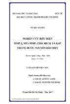 Nghiên cứu biểu hiện mmp 2, mt1 mmp, cd10, reck và ki67 trong bướu nguyên bào men