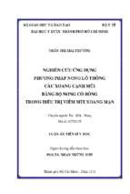 Nghiên cứu ứng dụng phương pháp nong lỗ thông các xoang cạnh mũi bằng bộ nong có bóng trong điều trị viêm mũi xoang mạn