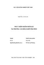 Phát triển nguồn nhân lực tại trường cao đẳng nghề vĩnh phúc