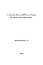 Identification of traits and qtls contributing to salt tolerance in rice (oryza sativa l.)