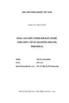 Nâng cao chất lượng đội ngũ cán bộ, công chức cấp xã tại huyện sông mã, tỉnh sơn la  