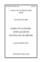 Nghiên cứu vi giải phẫu đường qua mê nhĩ vào vùng góc cầu tiểu não