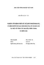 Nghiên cứu bệnh thối gốc rễ (phytophthora sp.) và bệnh đốm nâu (alternaria sp.) cây chanh leo tại một số tỉnh tây nguyên, miền trung và miền bắc  