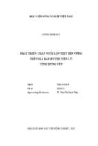 Giải pháp chăn nuôi lợn thịt bền vững trên địa bàn huyện tiên lữ, tỉnh hưng yên  