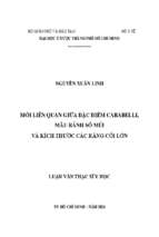 Mối liên quan giữa đặc điểm carabelli, mẫu rãnh số múi và kích thước các răng cối lớn