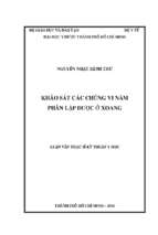 Khảo sát các chủng vi nấm phân lập được ở xoang