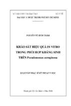 Khảo sát hiệu quả in vitro trong phối hợp kháng sinh trên pseudomonas aeruginosa