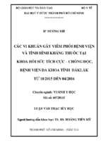 Các vi khuẩn gây viêm phổi bệnh viện và tình hình kháng thuốc tại khoa hồi sức tích cực – chống độc, bệnh viện đa khoa tỉnh đăklăk từ 10 2015 đến 04 2016