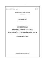 Hình thái học phình mạch não trên dsa ở bệnh nhân xuất huyết dưới nhện