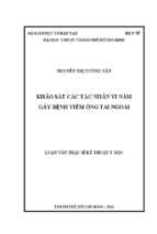 Khảo sát các tác nhân vi nấm gây bệnh viêm ống tai ngoài