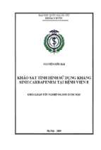 Khảo sát tình hình sử dụng kháng sinh carbapenem tại bệnh viện e