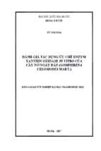 đánh giá tác dụng ức chế enzym xanthin oxidase in vitro của cây nở ngày đất (gomphrena celosiodes mart.)