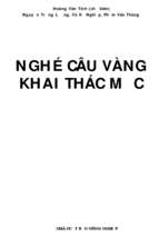 Nghề câu vàng khai thác mựchoàng văn tính và các tác giả khác