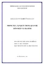 Phong tục tập quán trong quan hệ hôn nhân và gia đình