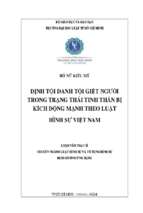 định tội danh tội giết người trong trạng thái tinh thần bị kích động mạnh theo luật hình sự việt nam