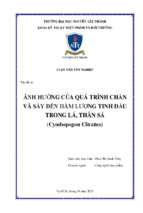 ảnh hưởng của quá trình chần và sấy đến hàm lượng tinh dầu trong lá, thân sả (cymbopogon citratus)