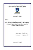 ảnh hưởng của nồng độ cơ chất lên quá trình lên men cellulose của vi khuẩn acetobacter xylinum
