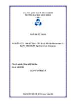 Nghiên cứu tạo rễ tóc cây đậu nành (glycine max l.) bằng vi khuẩn agrobacterium rhizogenes