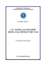 Các tội đua xe trái phép trong luật hình sự việt nam