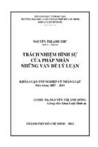 Trách nhiệm hình sự của pháp nhân những vấn đề lý luận