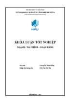 Giải pháp nâng cao hiệu quả sử dụng vốn kinh doanh tại công ty cổ phần dịch vụ thương mại hạ long