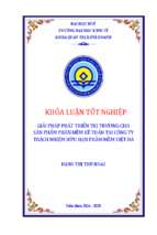 Giải pháp phát triển thị trường cho sản phẩm phần mềm kế toán tại công ty trách nhiệm hữu hạn phầm mềm việt đà