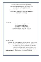 Lân sư rồng góc nhìn văn hóa chợ lớn   sài gòn    