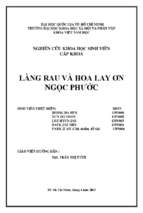 Làng rau và hoa lay ơn ngọc phước    nghiên cứu khoa học sinh viên cấp khoa  