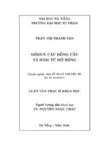 Mô đun các đồng cấu và hàm tử mở rộng.