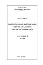 Nghiên cứu tạo lớp mạ tổ hợp ni al2o3 trên nền kim loại đồng bằng phương pháp điện hóa.