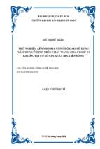 Thử nghiệm lên men bia nồng độ cao, sử dụng nấm men cố định trên chất mang cellulose vi khuẩn, tại cơ sở sản xuất bia viễn đông