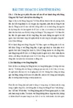Bài thu hoạch cảm tình đảng điểm 10