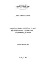 ảnh hưởng của ánh sáng lên sự tích lũy phycocyanin từ vi tảo ​spirulina (arthrospira) platensis