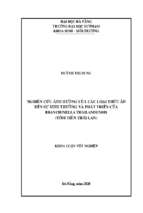 Nghiên cứu ảnh hưởng của các loại thức ăn đến sự sinh trưởng và phát triển của branchinella thailandensis (tôm tiên thái lan)