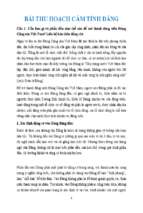 Bài thu hoạch cảm tình đảng điểm 10