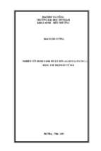 Nghiên cứu định danh tỏi lý sơn (allium sativum l.) bằng kỹ thuật chỉ thị phân tử ssr