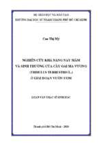 Nghiên cứu khả năng nảy mầm và sinh trưởng của cây gai ma vương (tribulus terrestrisl) ở giai đoạn vườn ươm 