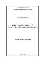 Luận án tiến sĩ hiệu ứng âm   điện   từ trong các hệ bán dẫn một chiều