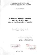 Luận án tiến sĩ sự chuyển hoá của photon thành các hạt nhẹ trong trường điện từ ngoài