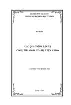 Luận văn thạc sĩ các quá trình tán xạ có sự tham gia của hạt tựa axion