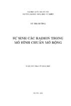 Luận văn thạc sĩ sự sinh các radion trong mô hình chuẩn mở rộng