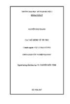 Luận văn tốt nghiệp các mô hình về vũ trụ