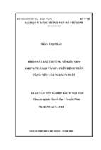 Khảo sát bất thường về kiểu gen jak2v617f, calr và mpl trên bệnh nhân tăng tiểu cầu nguyên phát