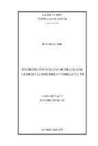 Nghiên cứu hành vi di chuyển của đám đông tại sân bay đà nẵng bằng hệ thống đa tác tử.